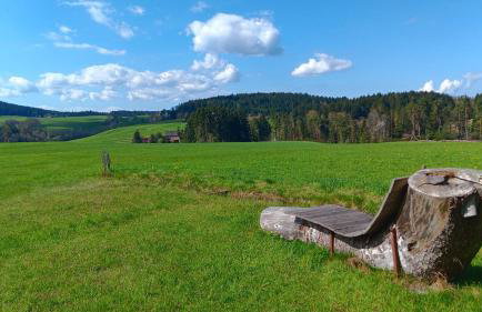 Waldfrieder Ferienwohnungen - Foto 19