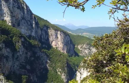 Oasi delle Gazze - Foto 34