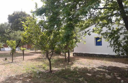 Villa Galinotis - Foto 20