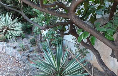 Casa Gazzano - Photo 56