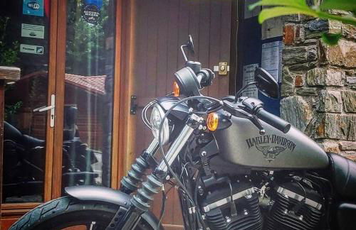 Le Hameau du Comté de Foix - Foto 23