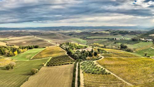 Villa Buonsignori - Wine & Olive Oil Farm - Foto 2