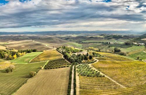 Villa Buonsignori - Wine & Olive Oil Farm - Foto 2