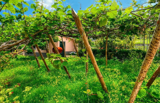 O Lagar do Avô, a Home in Madeira - Foto 86