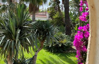 Villa - Casa Ines - Photo 39