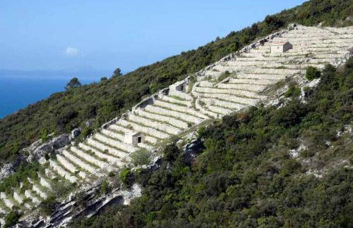 Mario (RADE) - Foto 19