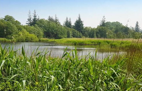 Cozy Home In Langenhorn With Wifi - Foto 15