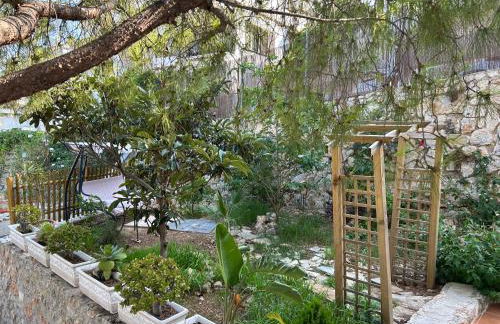 Beauty Garden - Foto 34