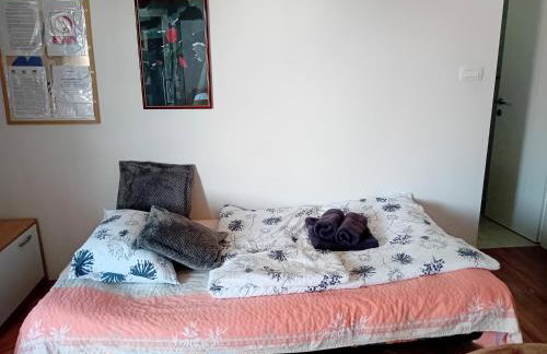 Apartmani Ani - Foto 6