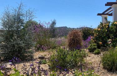 Quinta Cunte - Casa Sobreiro - Foto 27