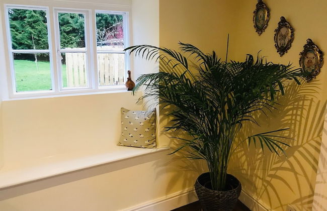 Hengoed Hideaway - Spacious 3-bed House - Photo 26