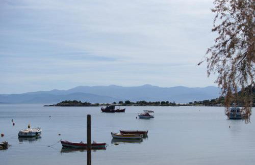 Seaside Resort - Foto 1