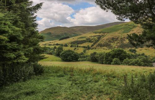 Brant View - Foto 34