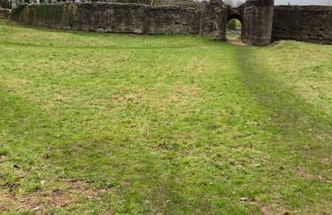 unique glamping carriage with stunning views - Photo 10