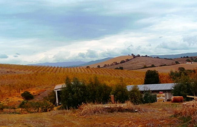 Il Cantiniere - Foto 54