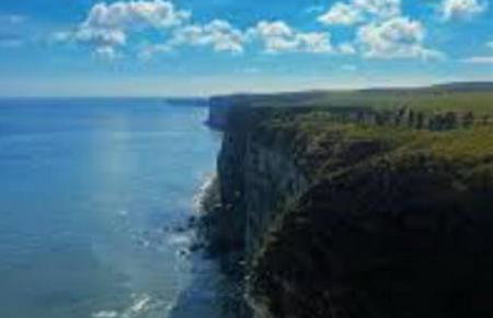 Harbour House Holiday Apartments - Foto 53