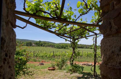 Agriturismo Novelleto - Foto 112