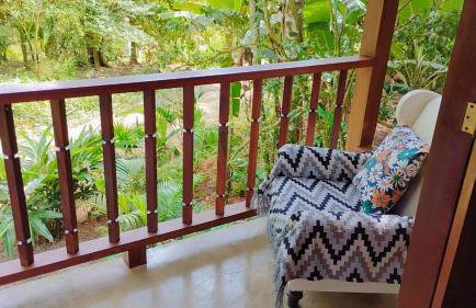 Estrela da noite - Foto 12