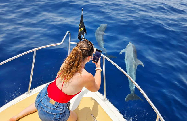 Giro in barca privato da Playa San Juan - Foto 7