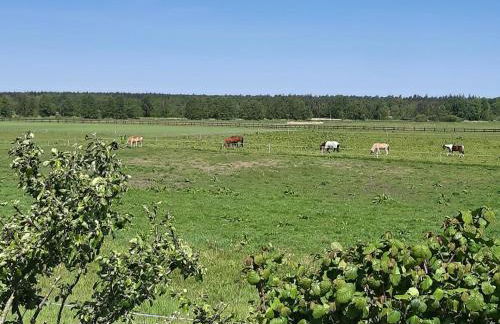 Wiesenblick - Foto 2