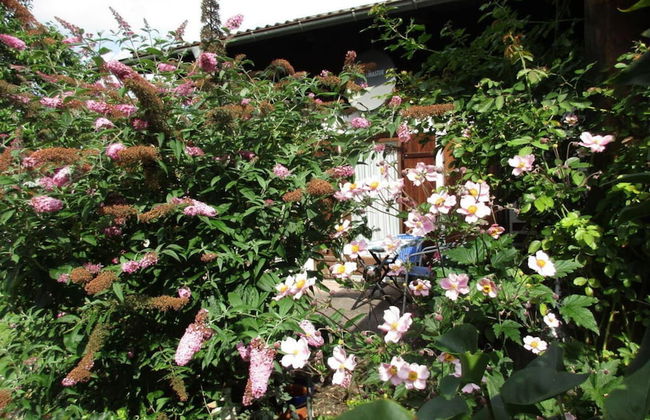 Bricklayer's Apartment Kofel - Foto 9