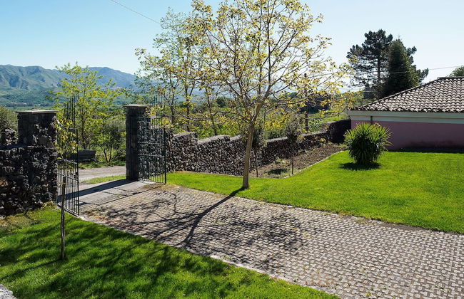 Nerello Mascalese - Foto 42