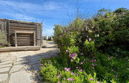 Le Club des Cigales - Foto 24