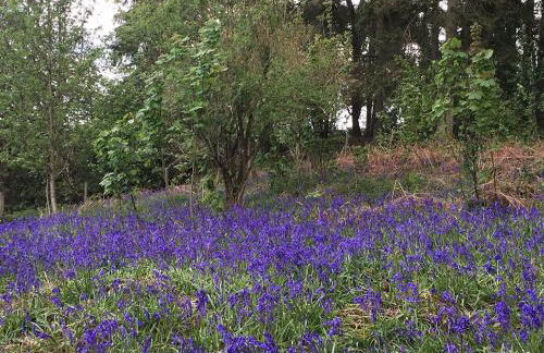 2 bedroom Large Town Centre Apartment FREE Parking - Foto 39