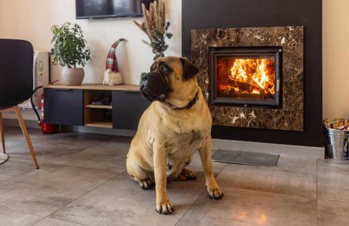 Mały Tiny Domek w górach z kominkiem , Piwniczna-Zdrój - Foto 34