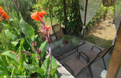 Aglaia House - Foto 15