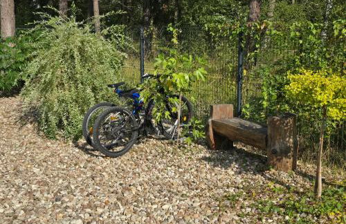 Daglezji 170 - Foto 44