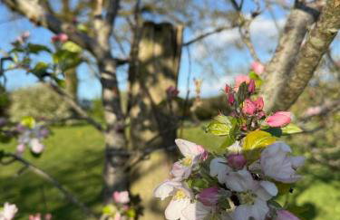 Palmiro Cottage - Foto 14