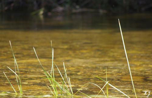 Casa Erbaggio - Foto 25