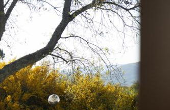 Casa do Canastro - Foto 32