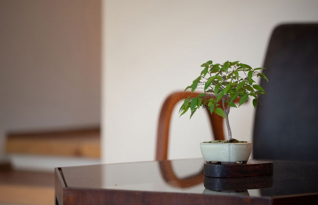 UCHIKO-Inn ORI - Foto 29