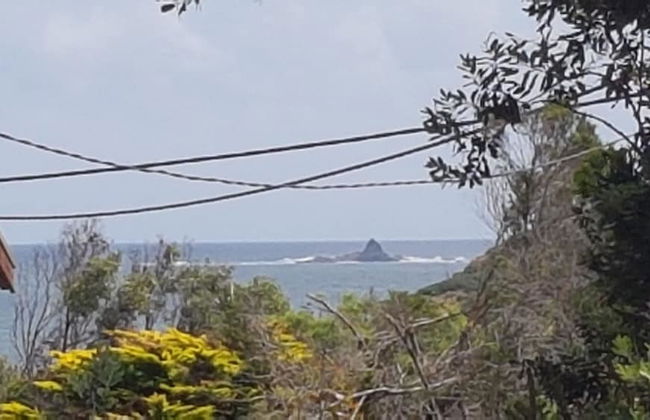 Smith Beach Getaways Beachwood House - Foto 26