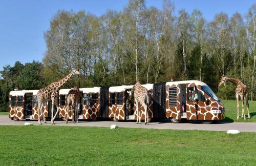 Luxuszelt im Serengeti Park - Foto 24