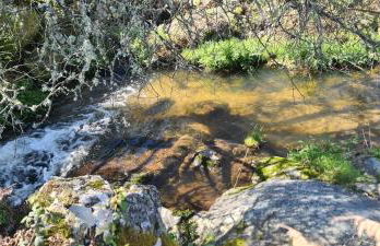 Quinta da Utopia - Foto 62