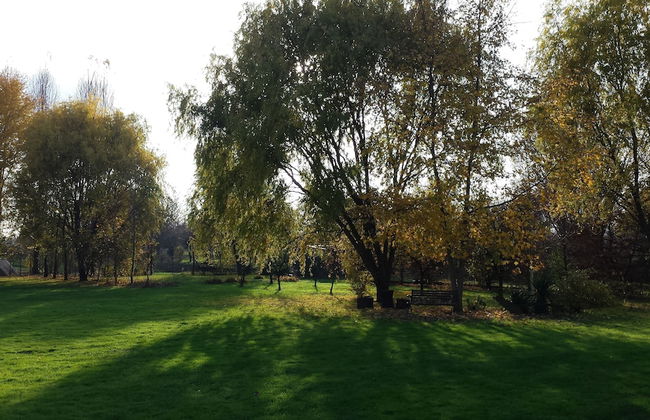 Agriturismo ai Carpini - Foto 60