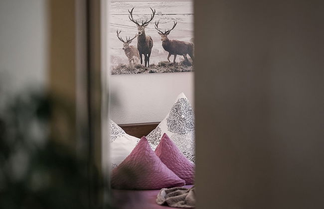 Das Urgestein - Foto 7