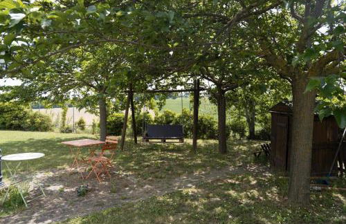 Il Casale dello chef - Foto 42