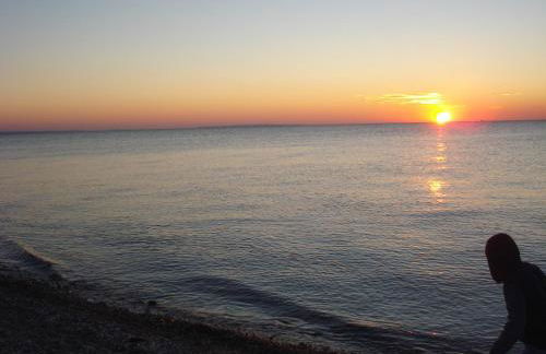 Ferienhaus Seeschwalbe - Foto 18