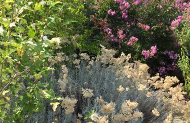 Quinta do Cobral - Foto 38