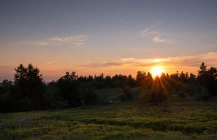 Ferienhaus am Südwall links - Foto 39