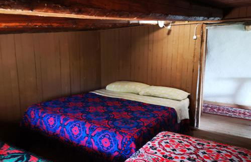 Pinnettu sardo casa di campagna in ecosistema insetti e animaletti simpatici in condivisione,Leggere attentamente Prima di prenotare - Foto 38