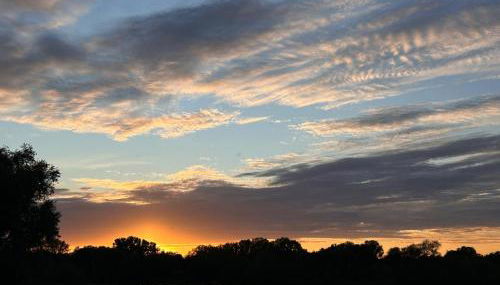 maison de ville agréable La roseraie Musicale - Photo 4