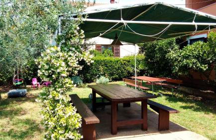 Apartment Silvija Pula - Photo 4