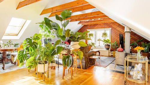 Urban Oasis in Hope Village - Foto 4