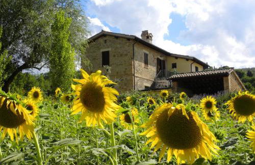 Appartamenti Verde Collina Umbra - Foto 1
