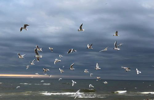 Apartament Baltic Park - Foto 13